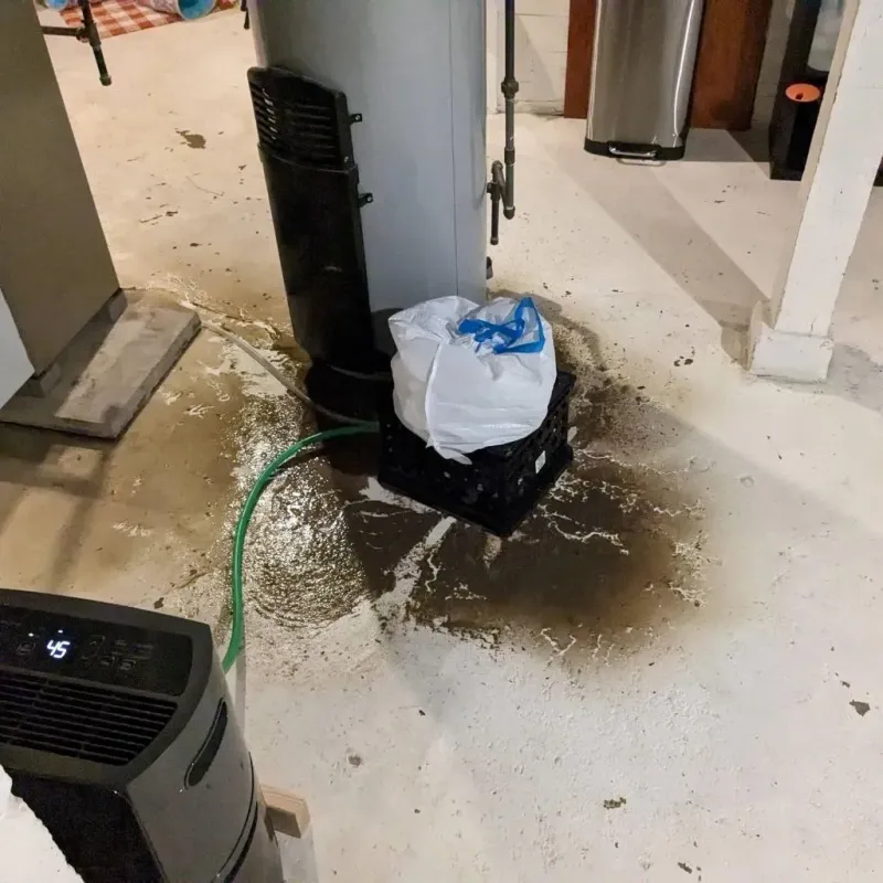 Sewage Backup Cleanup Service in Las Flores, CA